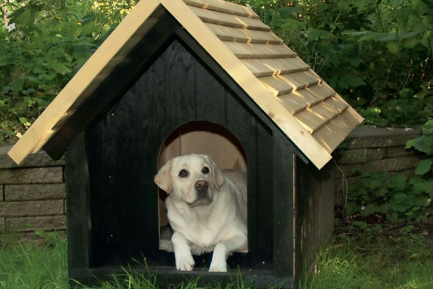 Hundkoja vinterbonad Hundkoja vinterbonad